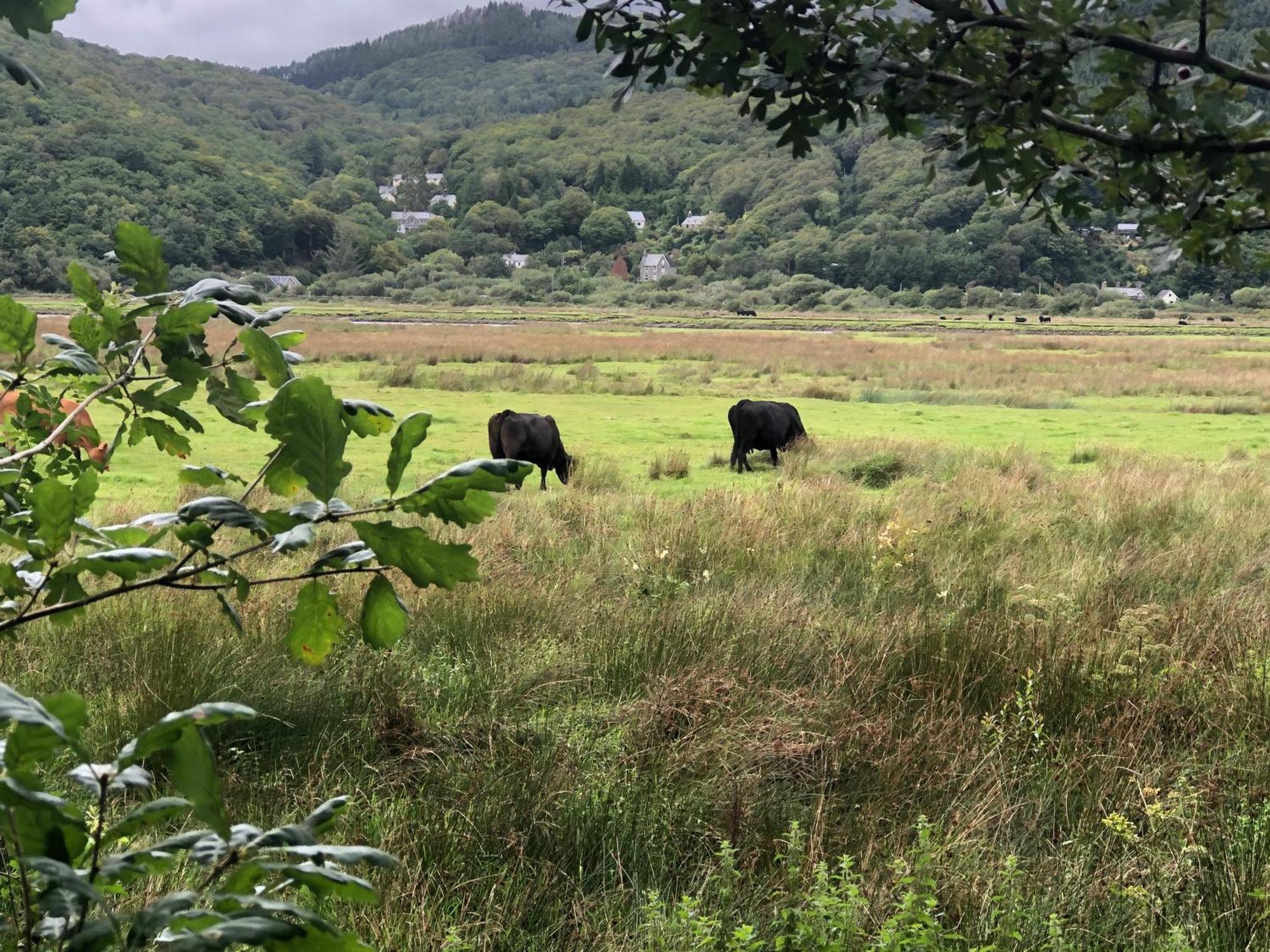 Snowdonia Mawddach Escape Villa Долгелай Екстериор снимка